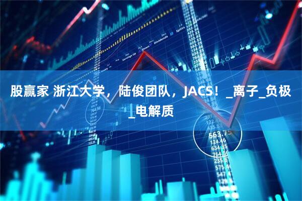 股赢家 浙江大学，陆俊团队，JACS！_离子_负极_电解质
