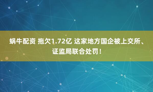 蜗牛配资 拖欠1.72亿 这家地方国企被上交所、证监局联合处罚！
