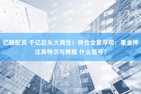 亿融配资 千亿巨头大调仓！持仓全景浮现：重金押注英特尔与携程 什么信号？