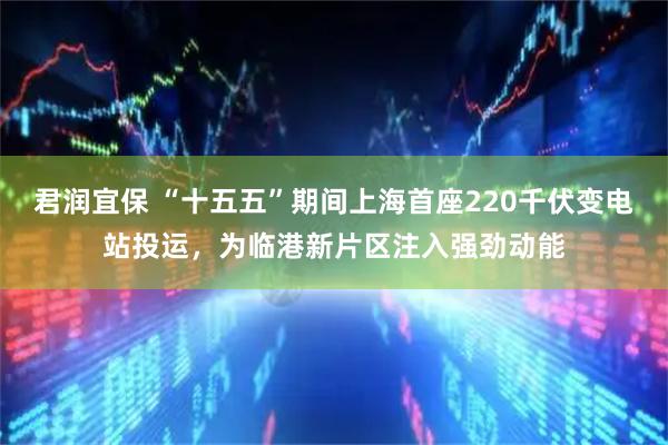 君润宜保 “十五五”期间上海首座220千伏变电站投运，为临港新片区注入强劲动能